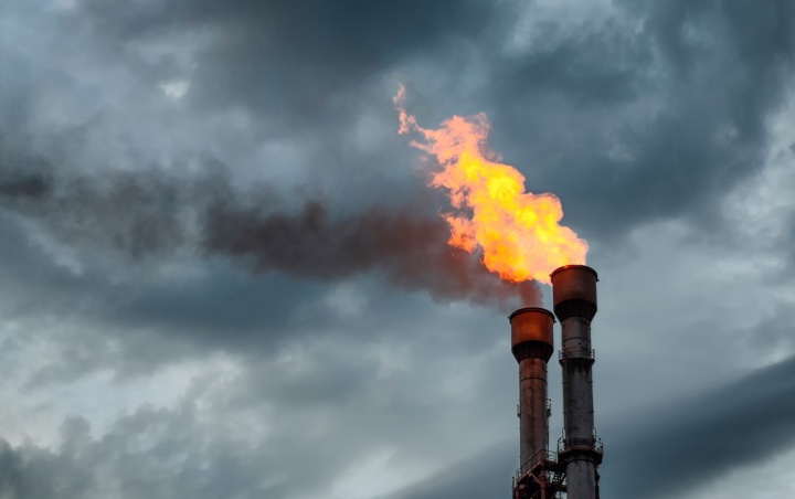 GTL Flyer Original Image